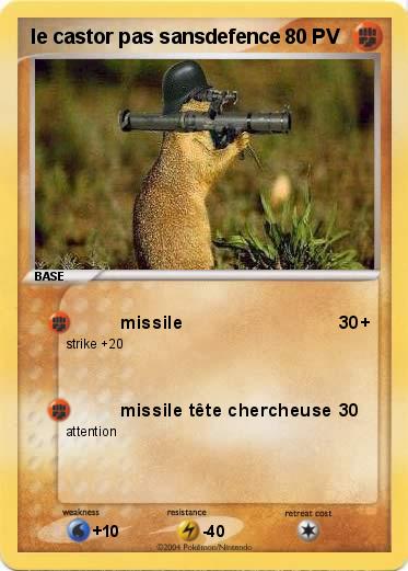 Pokemon le castor pas sansdefence