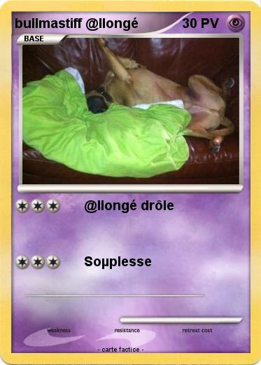 Pokemon bullmastiff @llongé
