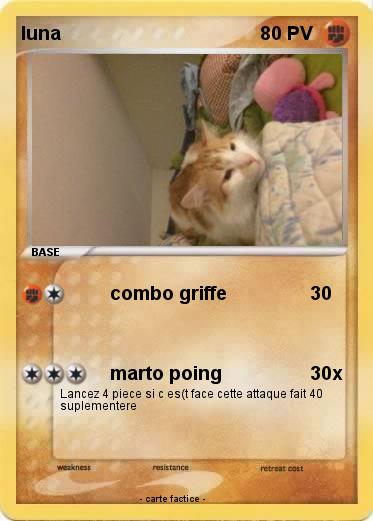 Pokemon luna