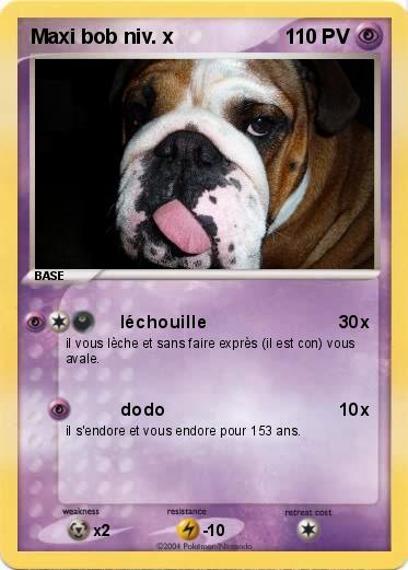 Pokemon Maxi bob niv. x