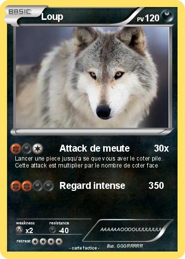 Pokemon Loup