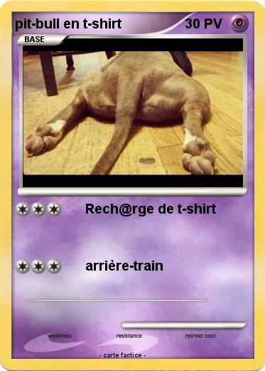 Pokemon pit-bull en t-shirt