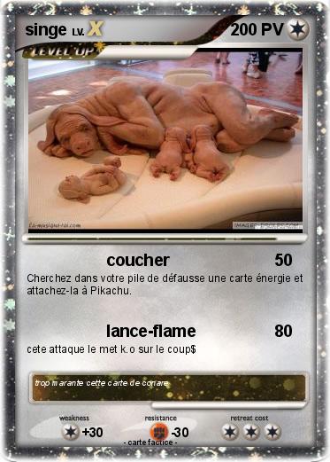 Pokemon singe