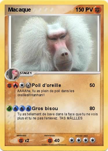 Pokemon Macaque