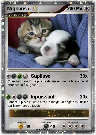 Pokemon Mignons