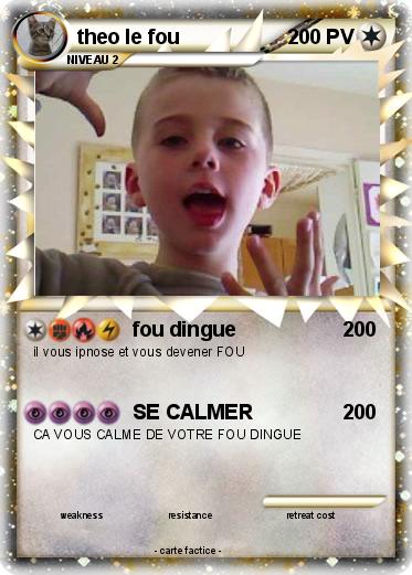 Pokemon theo le fou
