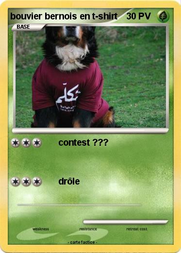 Pokemon bouvier bernois en t-shirt