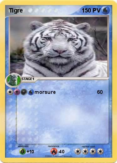 Pokemon Tigre