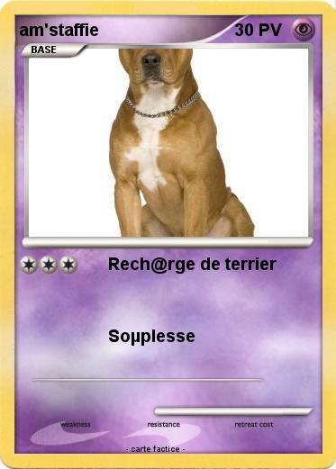Pokemon am'staffie