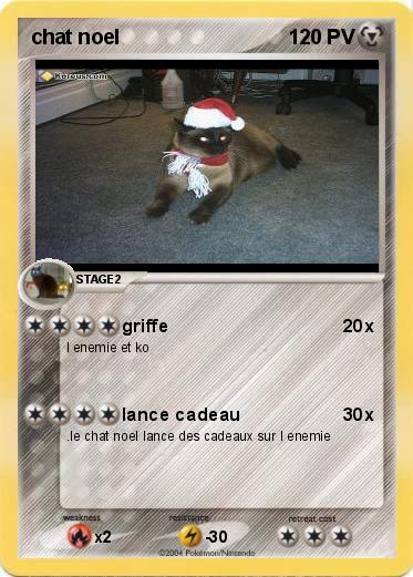 Pokemon chat noel