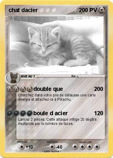 Pokemon chat dacier