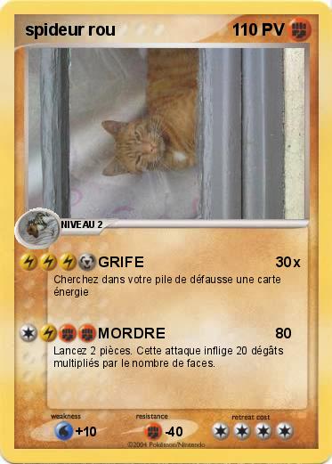 Pokemon spideur rou