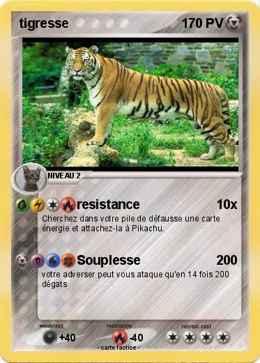 Pokemon tigresse