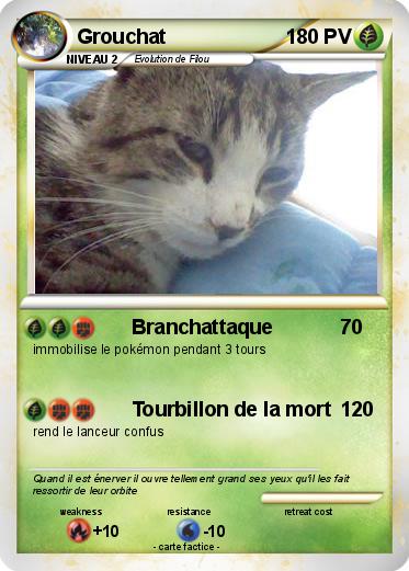 Pokemon Grouchat
