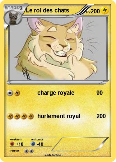 Pokemon Le roi des chats