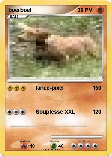 Pokemon boerboel