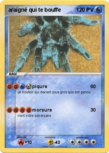 Pokemon araigné qui te bouffe 