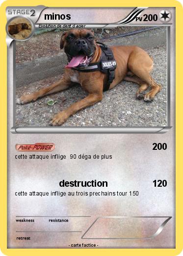 Pokemon minos