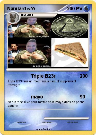 Pokemon Nanilard