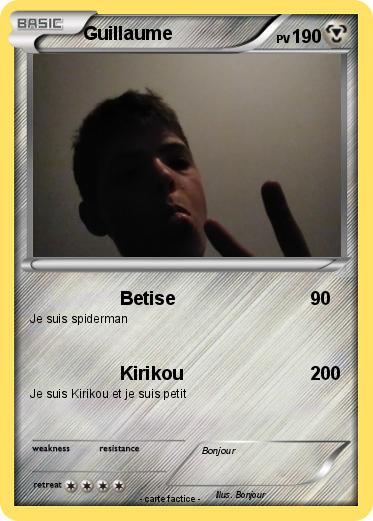 Pokemon Guillaume