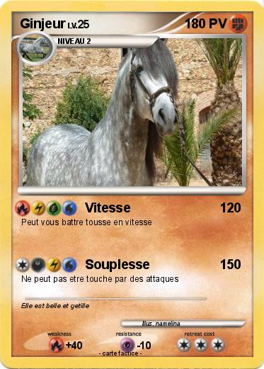 Pokemon Ginjeur