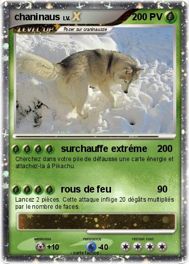 Pokemon chaninaus