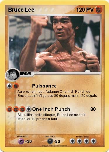 Pokemon Bruce Lee