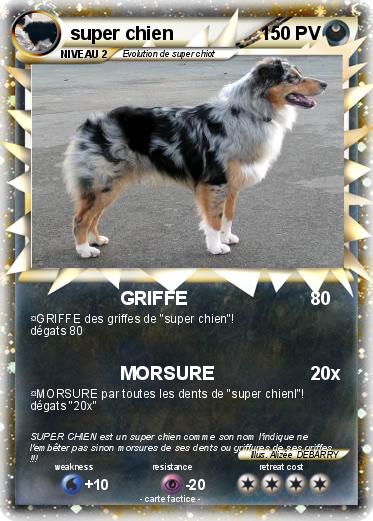Pokemon super chien
