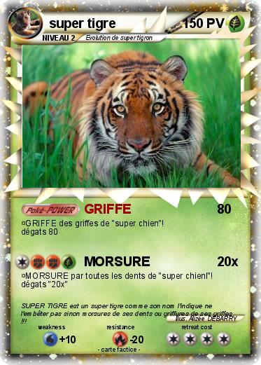 Pokemon super tigre