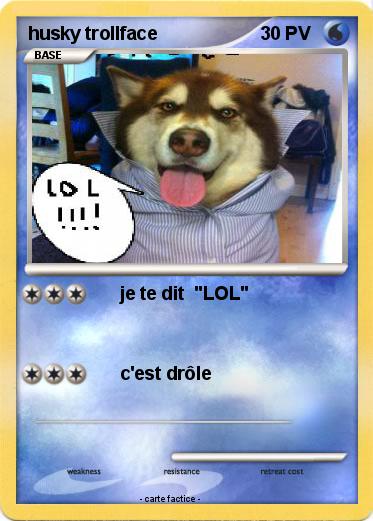 Pokemon husky trollface