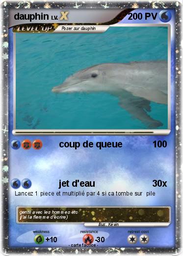 Pokemon dauphin