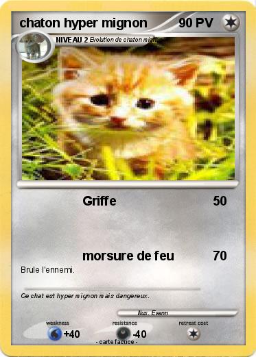 Pokemon chaton hyper mignon