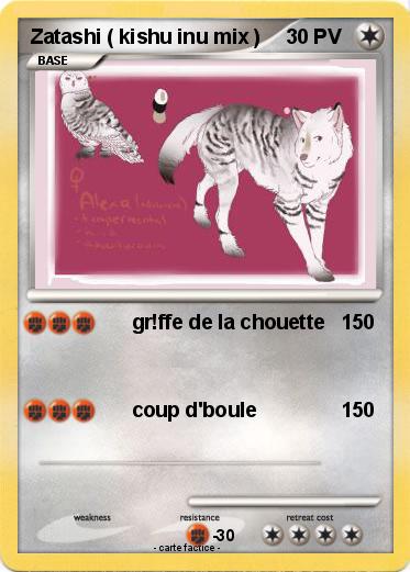 Pokemon Zatashi ( kishu inu mix )