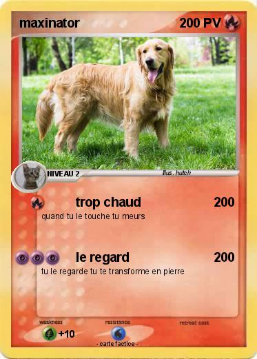 Pokemon maxinator