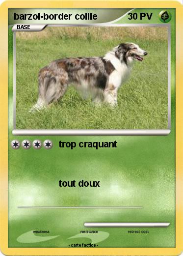 Pokemon barzoi-border collie