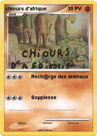 Pokemon chiours d'afrique