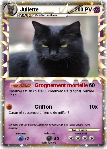 Pokemon Juliette