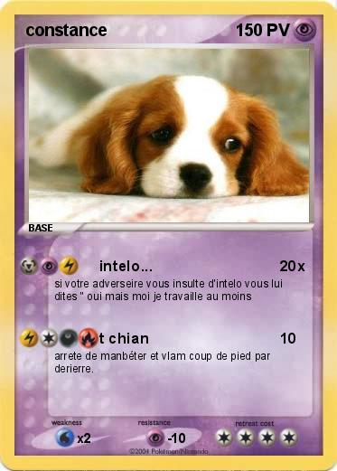 Pokemon constance