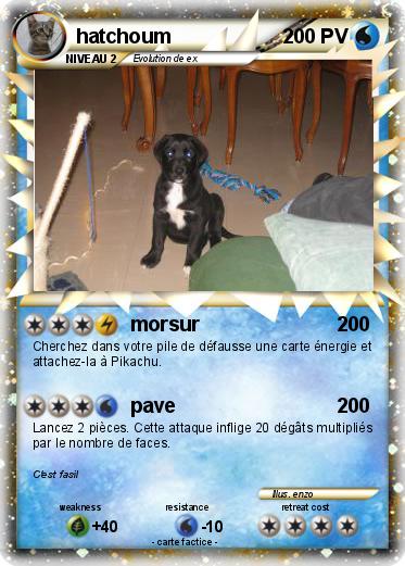 Pokemon hatchoum