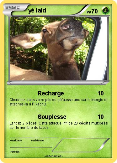 Pokemon yé laid