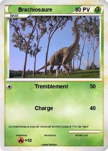 Pokemon Brachiosaure