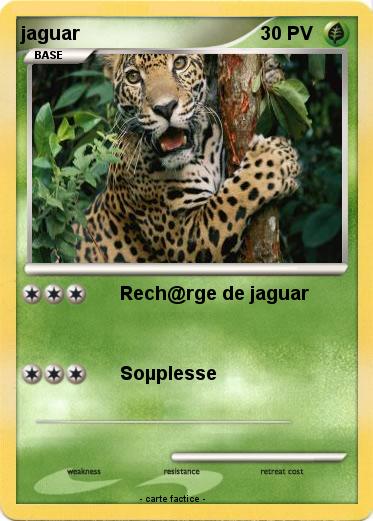 Pokemon jaguar