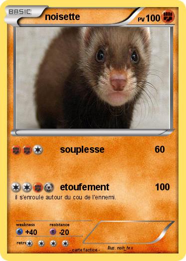 Pokemon noisette
