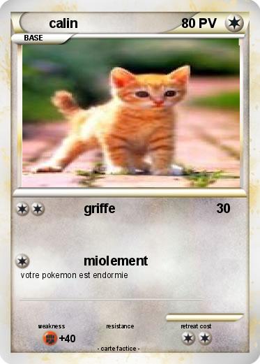 Pokemon calin