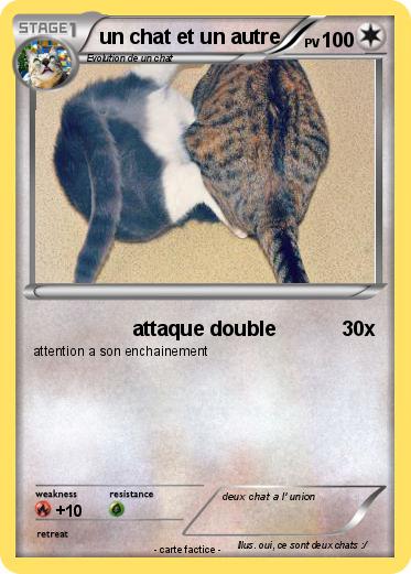 Pokemon un chat et un autre
