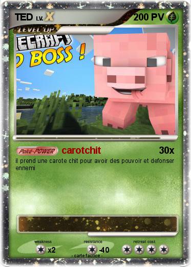 Pokemon TED
