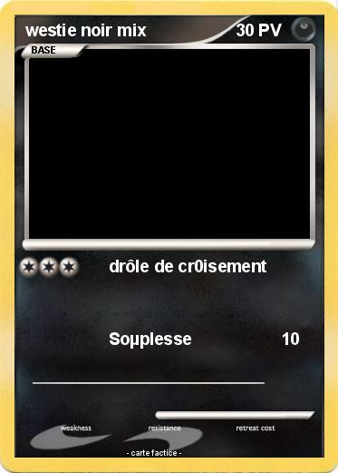 Pokemon westie noir mix