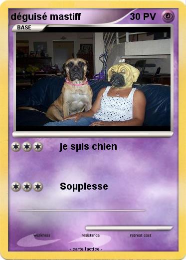 Pokemon déguisé mastiff
