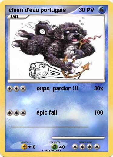 Pokemon chien d'eau portugais