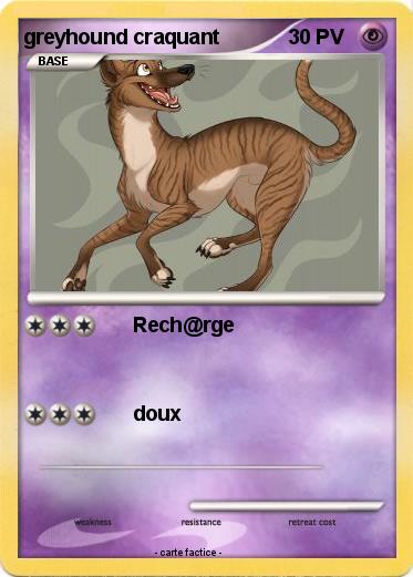 Pokemon greyhound craquant